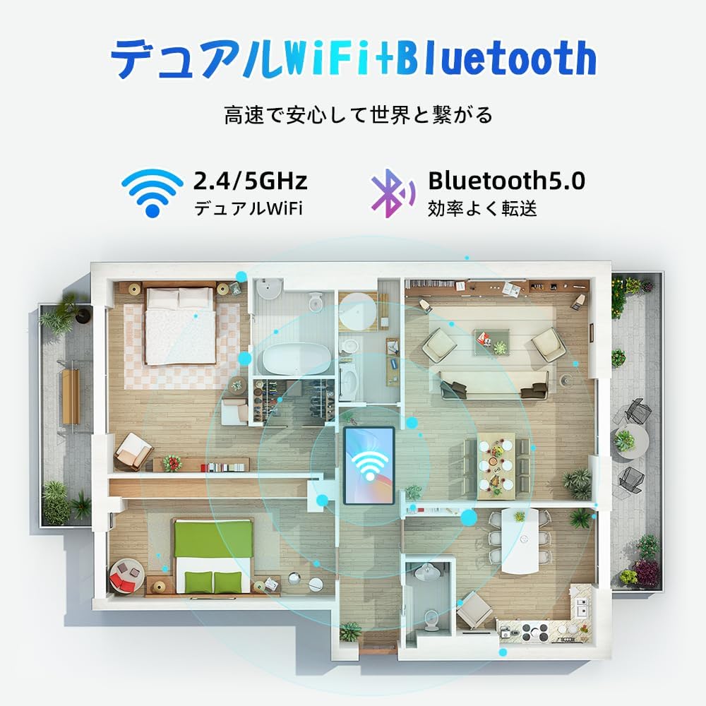 Dual WiFi and Bluetooth connectivity diagram