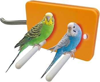 鳥かご 小鳥 飼育セット ペットヒーター ミニマルサーモ 文鳥 キンカチョウ 鳥かご 小鳥 飼育セット ペットヒーター ミニマルサーモ 文鳥