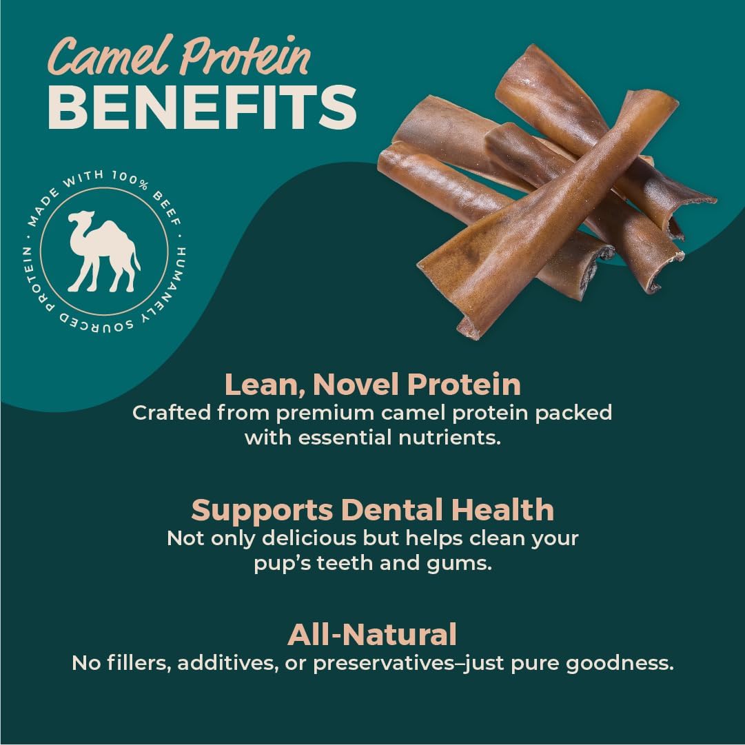 Premium Camel Skin Protein Dog Chews, All Natural Heavy Chewer Treats, Long Lasting Dental Care Strips, 25 Pack