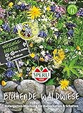 🌻 Die Aussaat der Bienenwiese Samen kann von März bis Juni erfolgen. Die Samen Blumenmischung breitwürfig aussäen und mit einem Rechen leicht einharken. In der Anfangszeit müssen die Wildblumensamen stetig feucht gehalten werden.