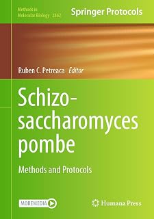 Schizosaccharomyces pombe: Methods and Protocols (Methods in Molecular Biology, 2862, Band 2862)