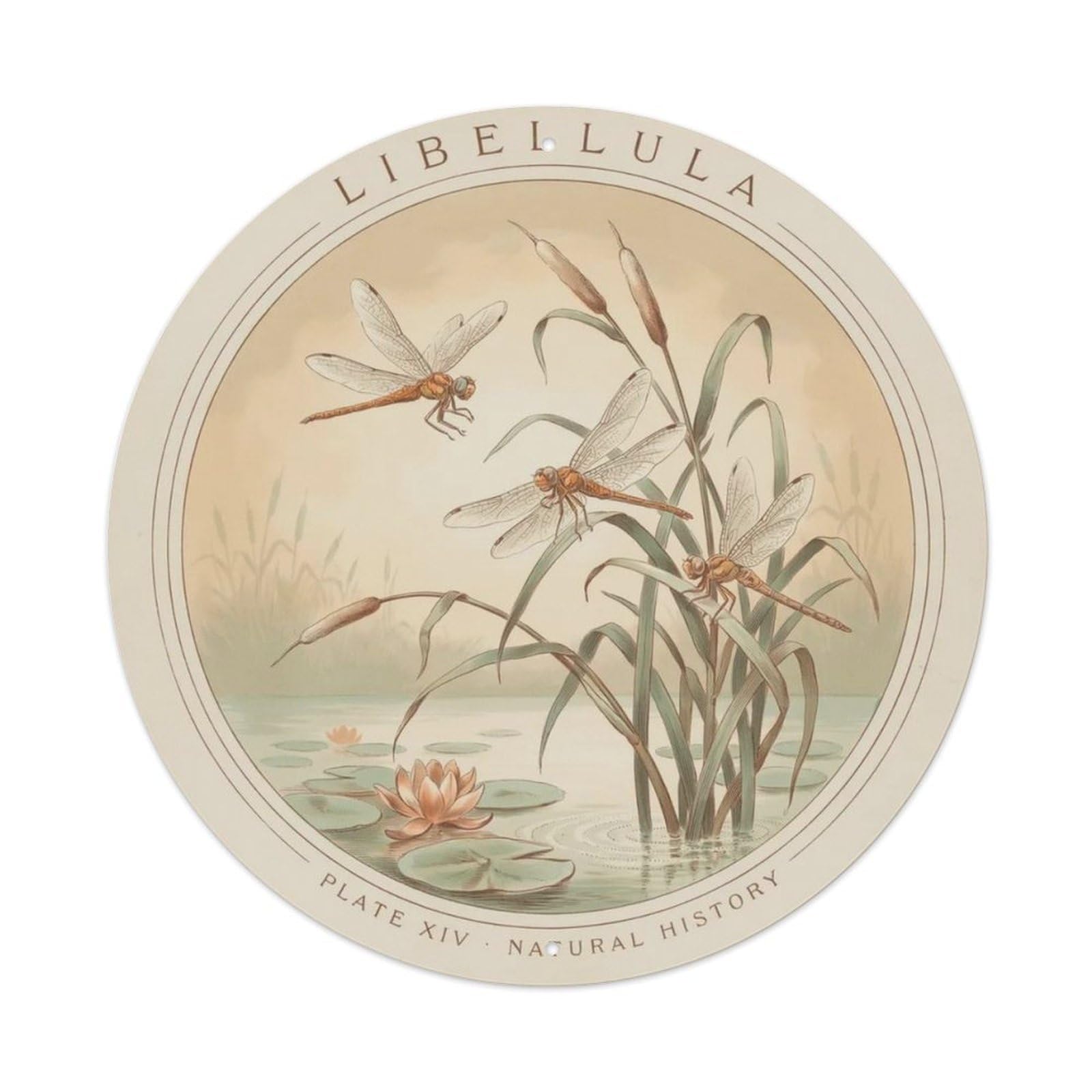 Vintage Dragonfly Reeds Metal Tin Sign Plaque