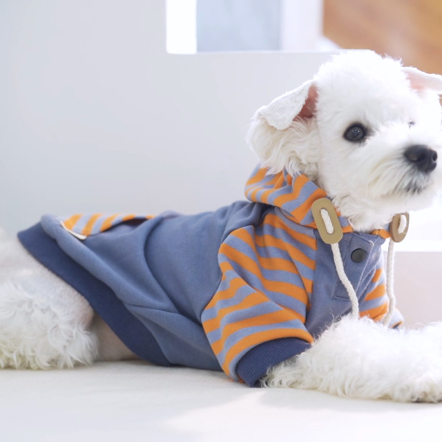 Pet Clothes Dog Hoodie Soft & Warm Cotton Sweatshirt Dog Hooded Shirts for Small and Medium Dogs X-Large, Sapphire Blue - Image 8
