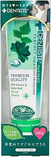 デンティス エチケット ペースト ハミガキ粉 100g ミント