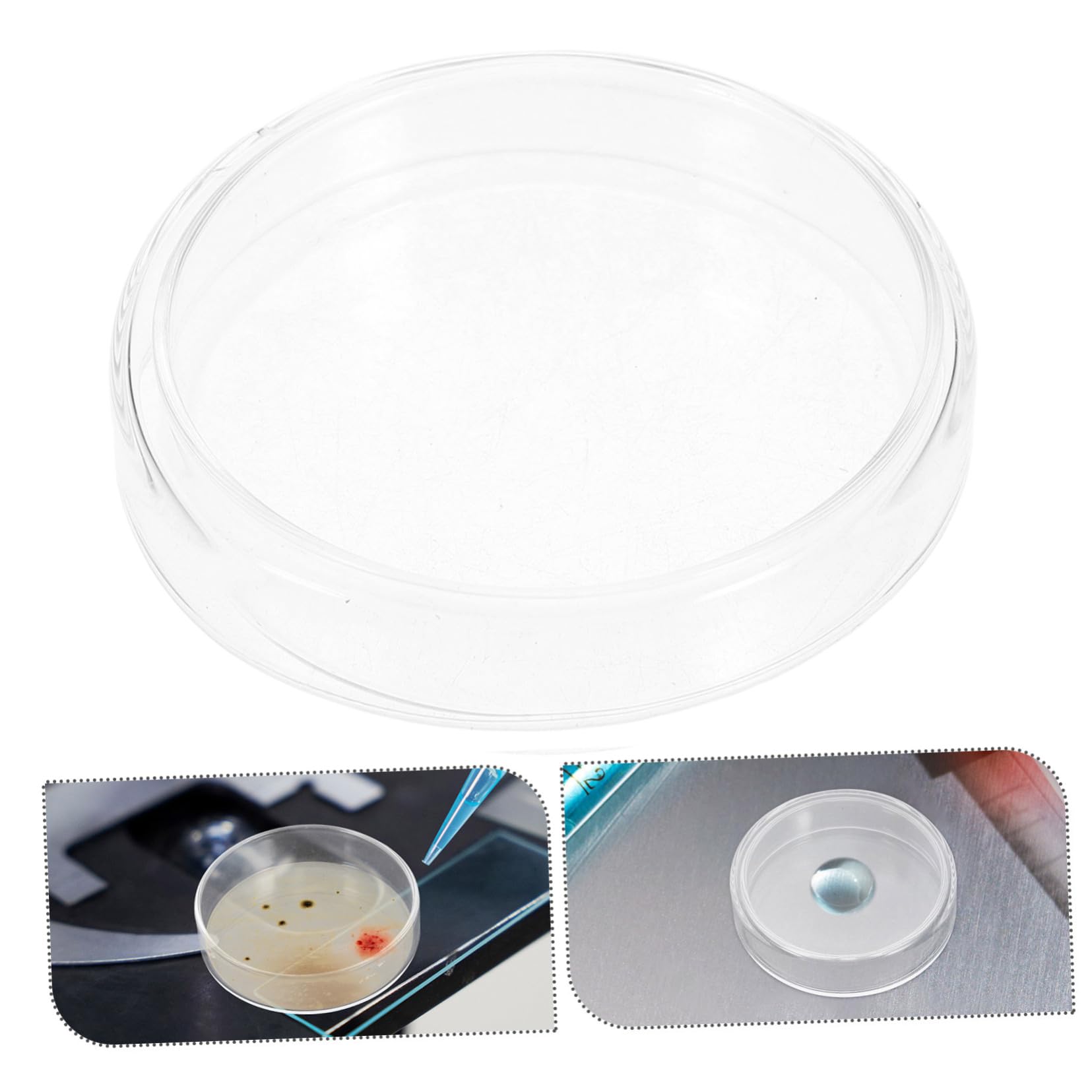 TOPBATHY 10piezas Placas de Petri de Vidrio con Tapas para Cultivo Celular Experimentos Microbiológicos Laboratorio Accesorios de Ciencia