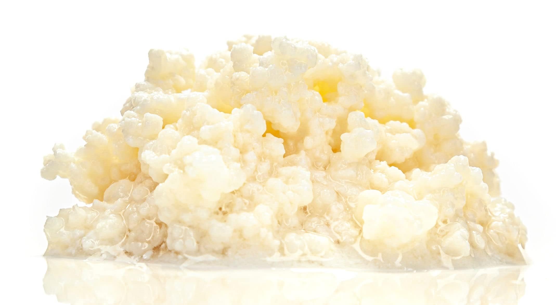 Kefir-for-all Milchkefirknollen für hausgemachten Milchkefir, 10 g Kultur Lebensmittel & Getränke