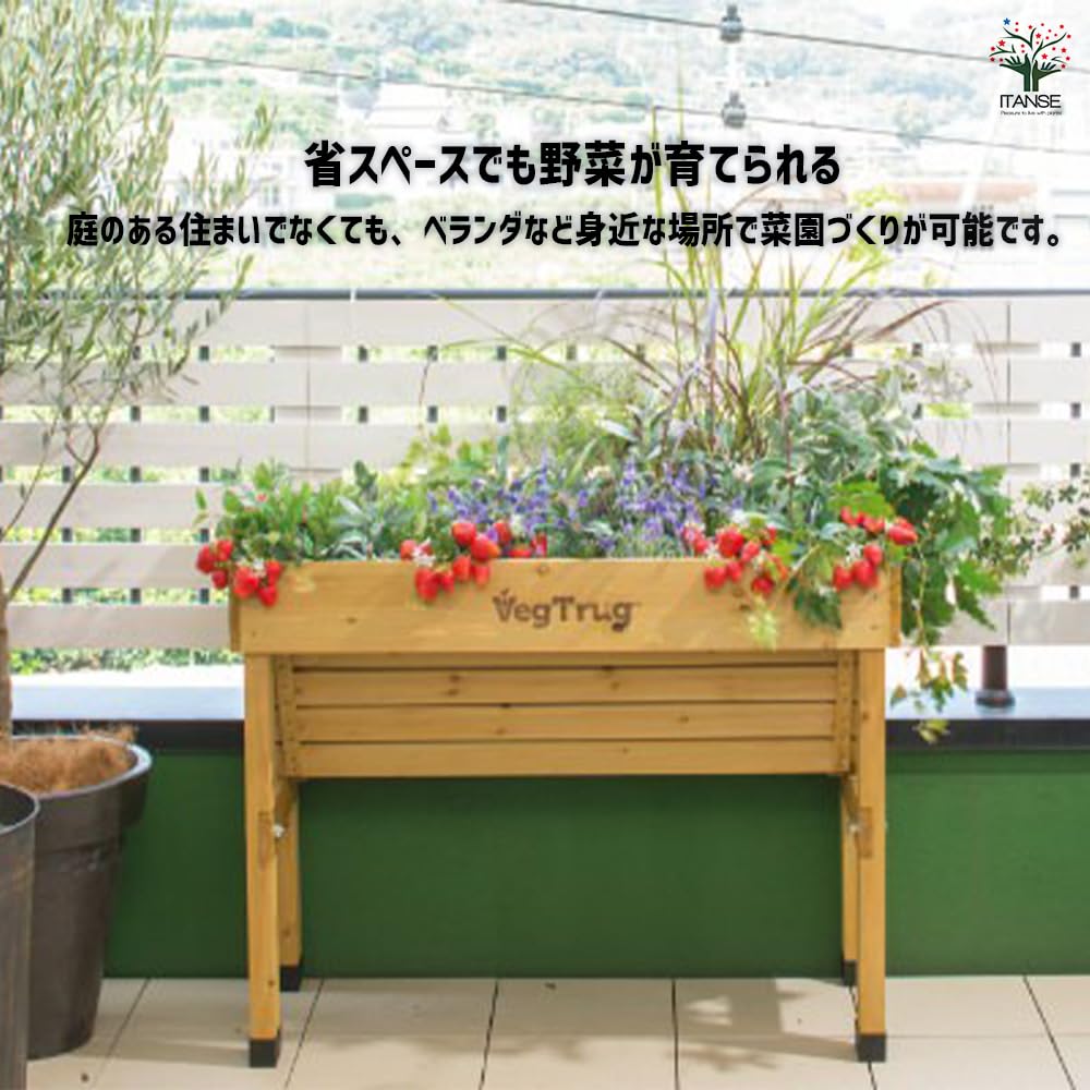 Amazon.co.jp: ITANSE レイズドベッドプランター ホームベジト