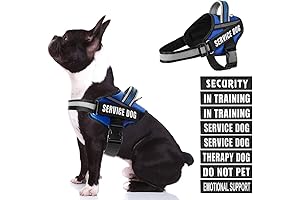 Animire Assistance Dog Vest