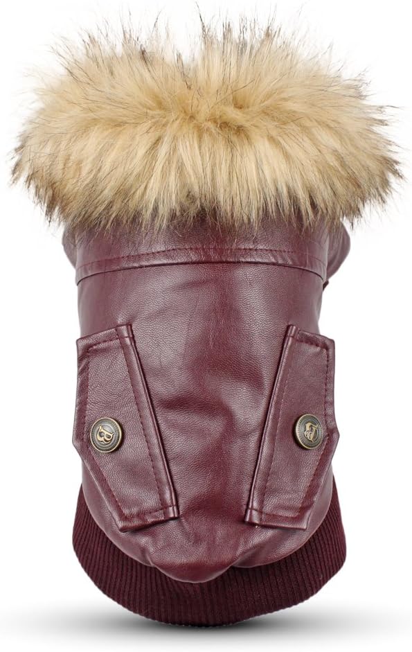 salty halloween costume