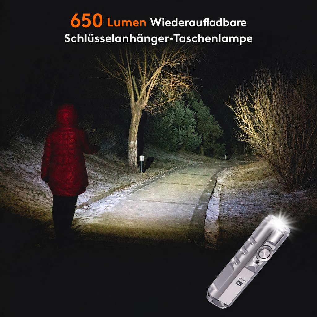 RovyVon A2 G4 LED-Taschenlampe Edelstahl, 650 Lumen, Schlüsselanhänger Taschenlampe wiederaufladbar, IP66 wasserdicht (Silber)