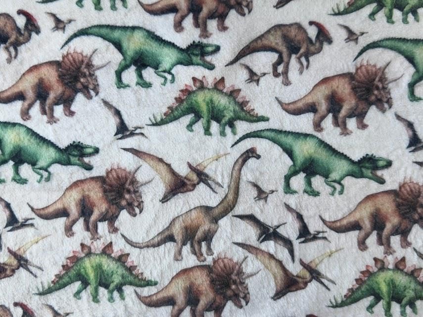 Tissu polaire dinosaures super doux à motif imprimé haute définition 10 m