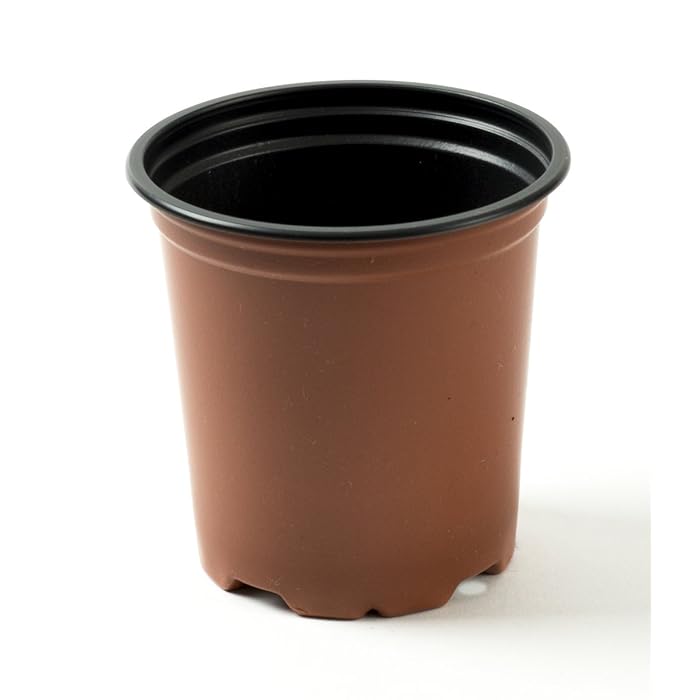Buy Nutley's 1000 x 9cm Modiform Plastic Plant Pots Online at