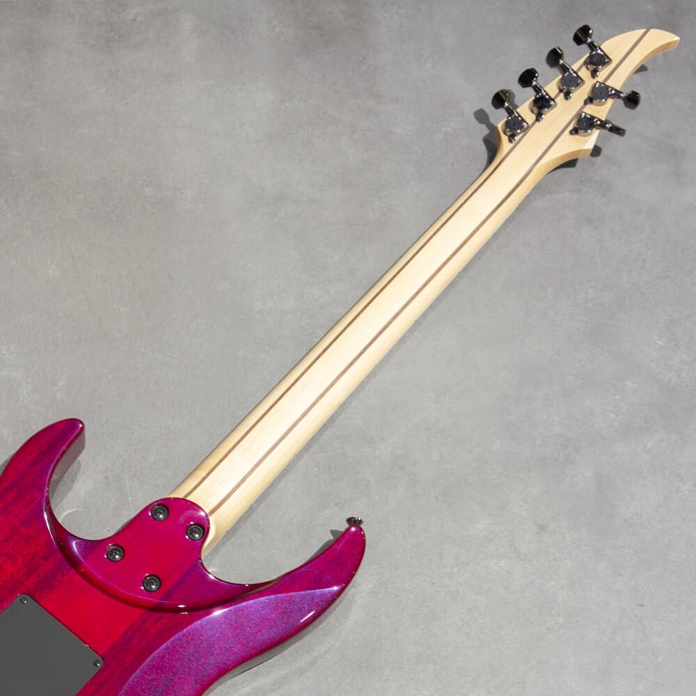 Amazon | Caparison Guitars Dellinger II Prominence EF Trans