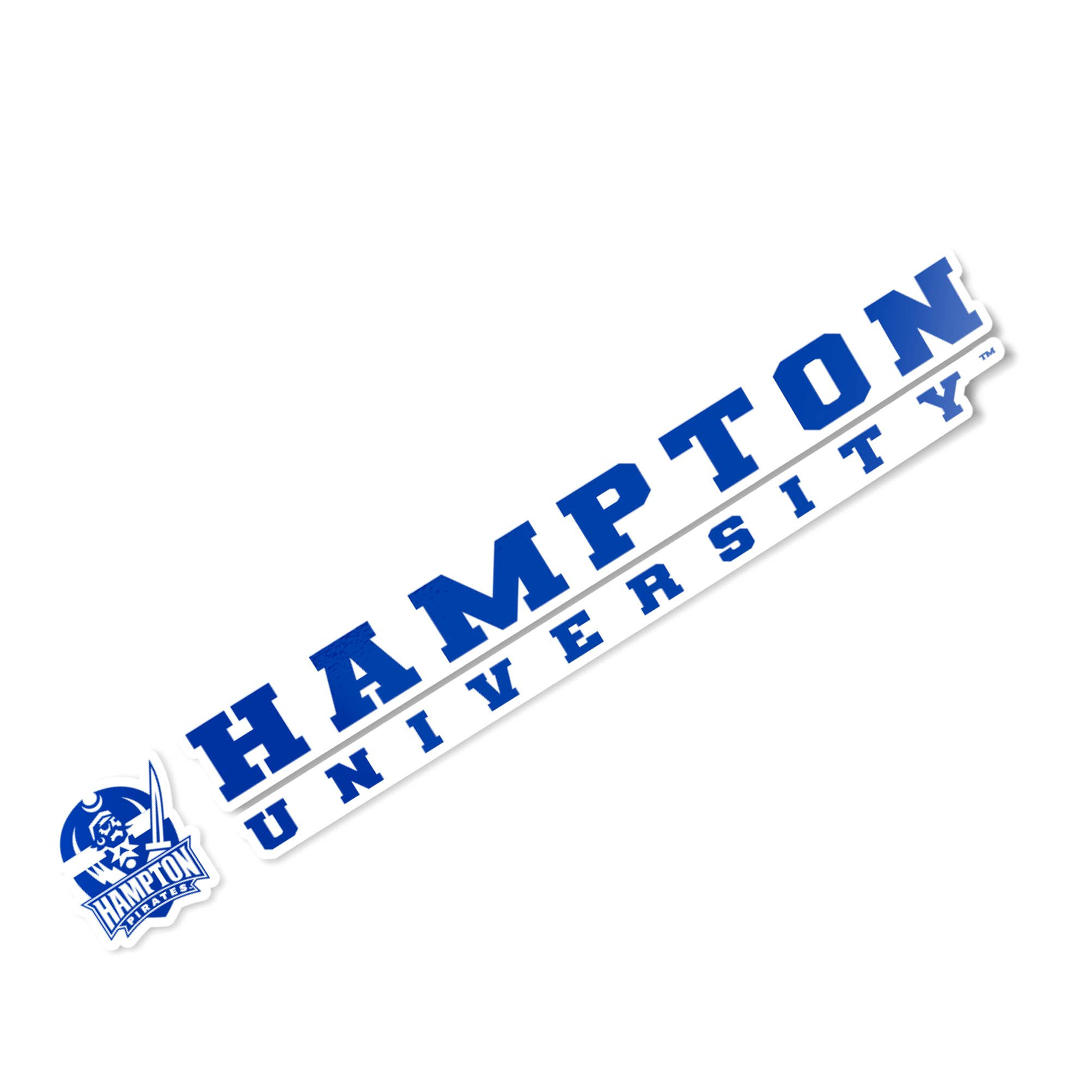 Desert Cactus Hampton University HBCU Virginia Pirates Name Logo Vinyl Decal Laptop Water Bottle Car Scrapbook (8 Inch Sticker)