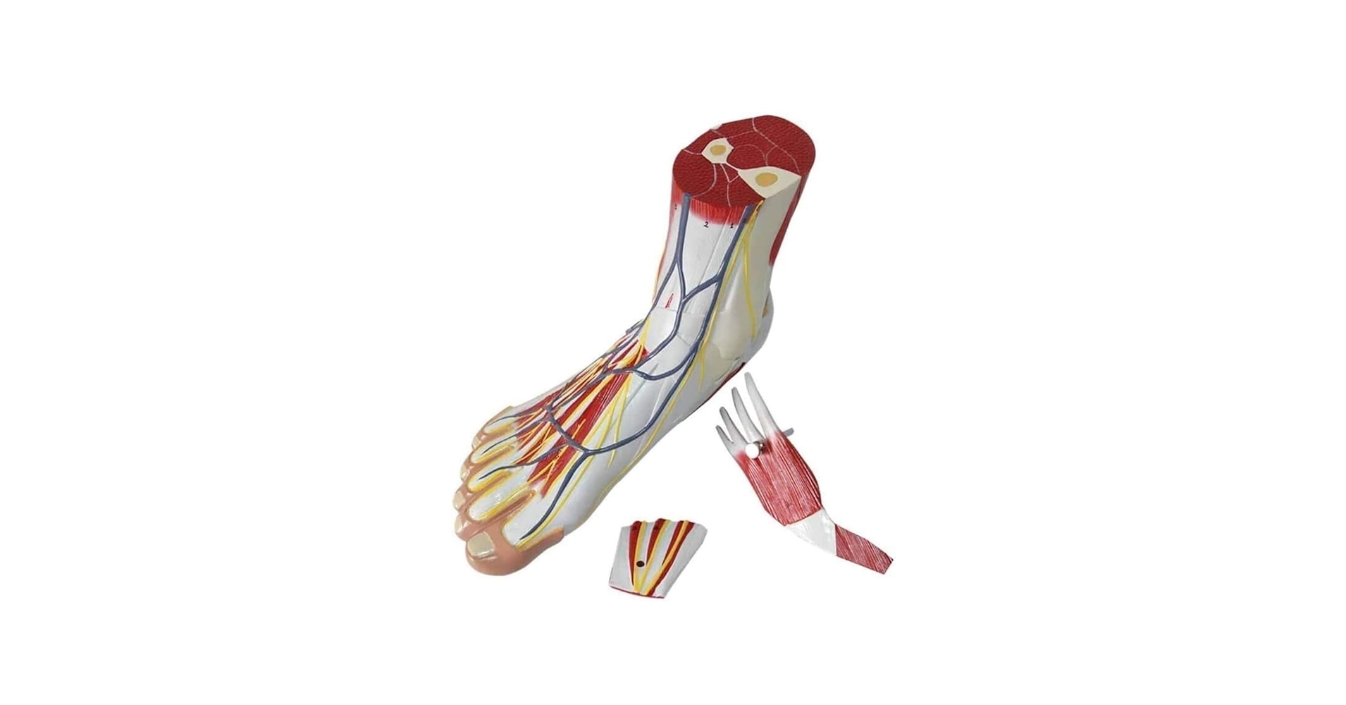 6137Swi1AgL.jpg_BO30,255,255,