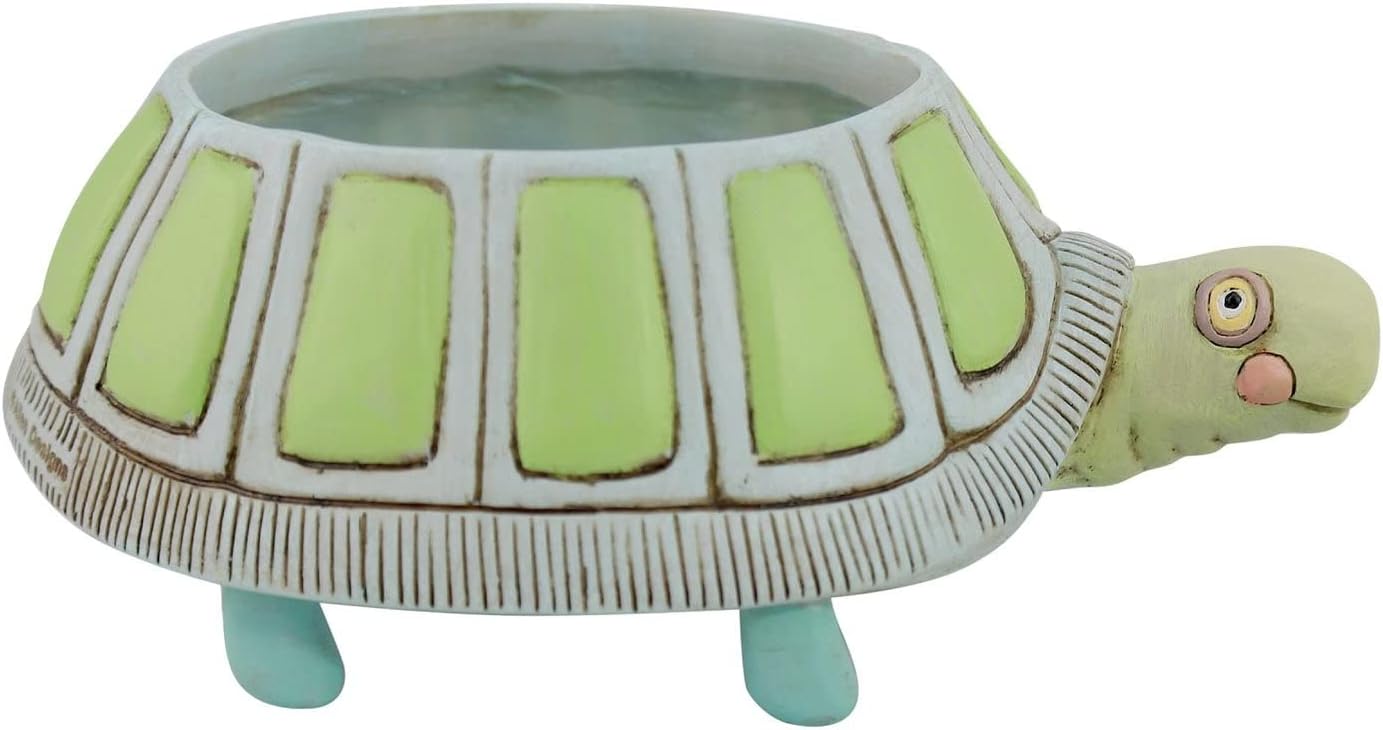 EnescoAllen Designs Myrtle Turtle Planter Planter