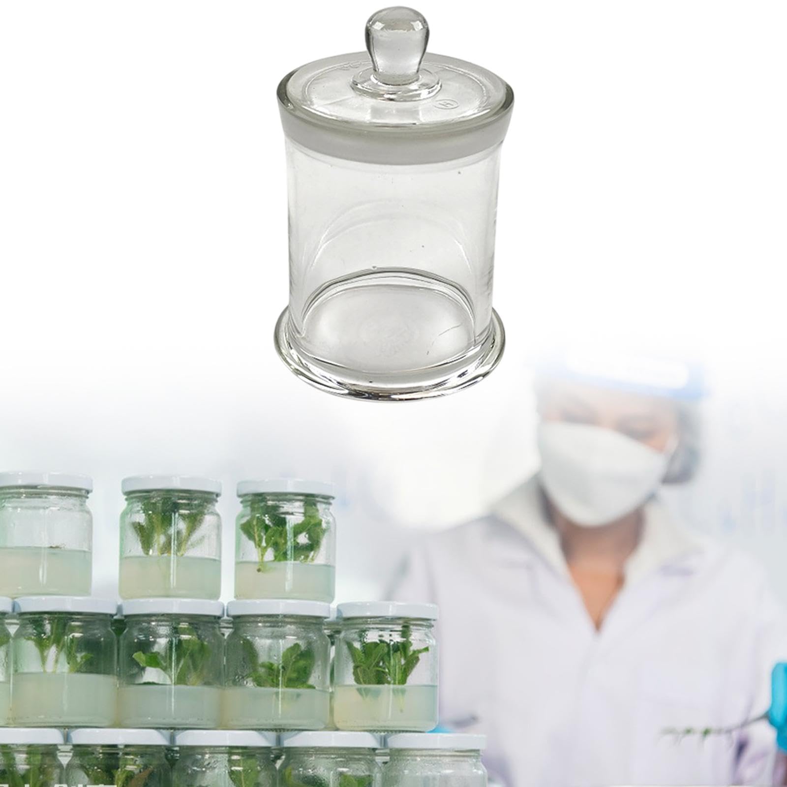 Barattolo cilindrico in vetro da laboratorio con coperchio per vetrine, accessori per laboratorio, 800 ml