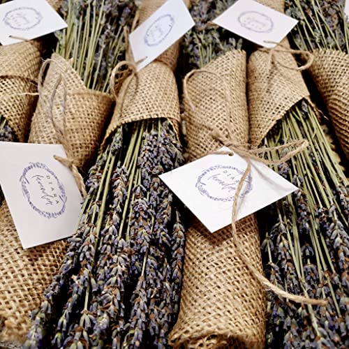 Flores de Lavanda Secas (2 Ramilletes) para Decoración y Artes miniatura 5
