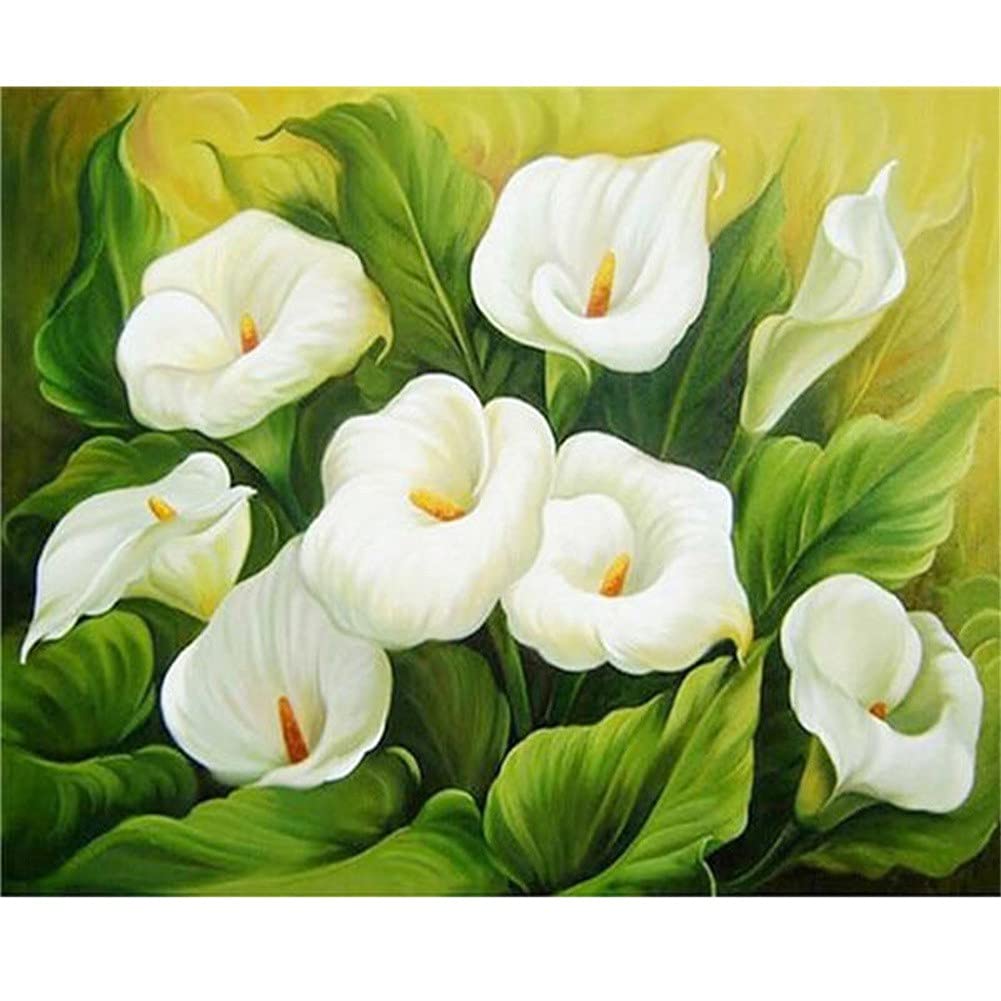 Kit Diamant Peinture grand format fleurs blanches de qualité supérieure