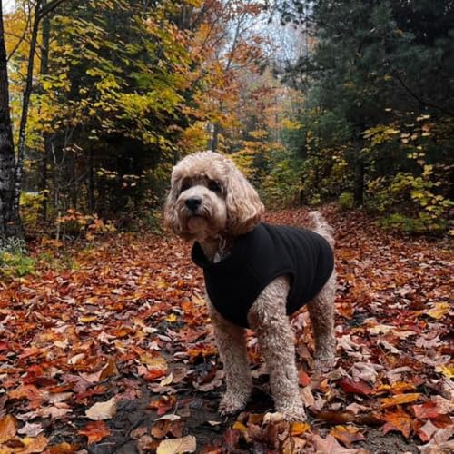 Image of JACKO & CO - Fleece Vest Dog Sweater with Leash Ring - Soft, Warm & Lightweight Pullover Coat for Small & Medium Dogs, Puppies & Cats - Cozy Fall /Winter /Spring Pet Jacket (Black, XX-Large 25-35lbs)