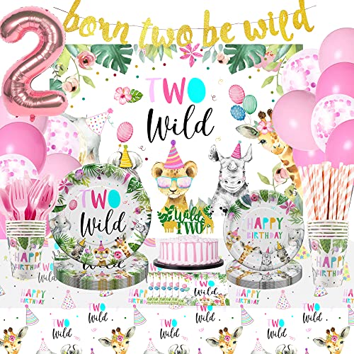 HIPEEWO Two Wild Birthday Decorations Dinnerware For Girl Jungle Safari Theme 2nd Birthday Party Supplies Include Plate Cup Napkin Backdrop Banner Tablecloth Balloon Cutlery Topper | Serve 24