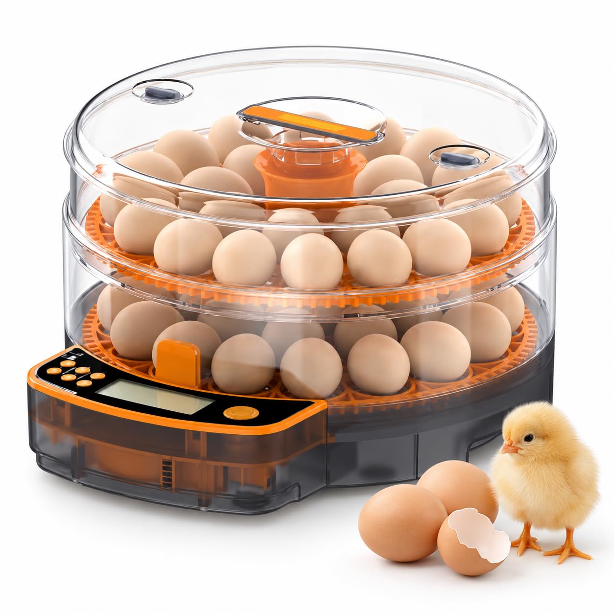 Incubateur d'œufs, 24/48 œufs, rotation automatique à 360°