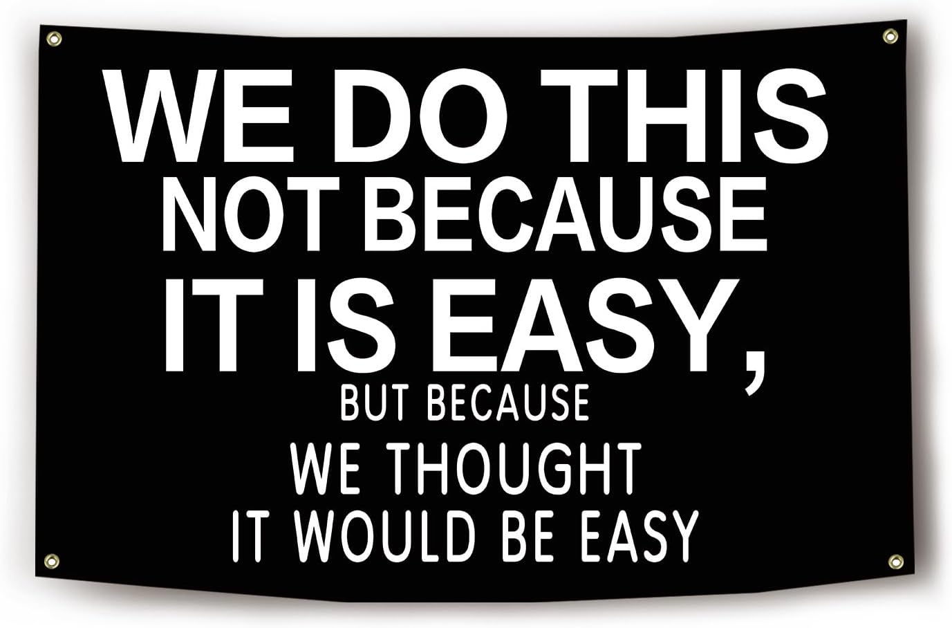 - Wo Do This Not Because It is Easy Flag 3x5 Feet Inspirational Office Home Gym Dorm Wall Decor Gym Banners and Flags for Room with 4 Bass Gromments