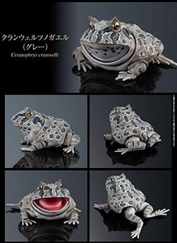 いきもの大図鑑アドバンス ツノガエル 全４種類 おまけ付き リアルフィギュア Amazon | いきもの大図鑑アドバンス ツノガエル [全4種セット