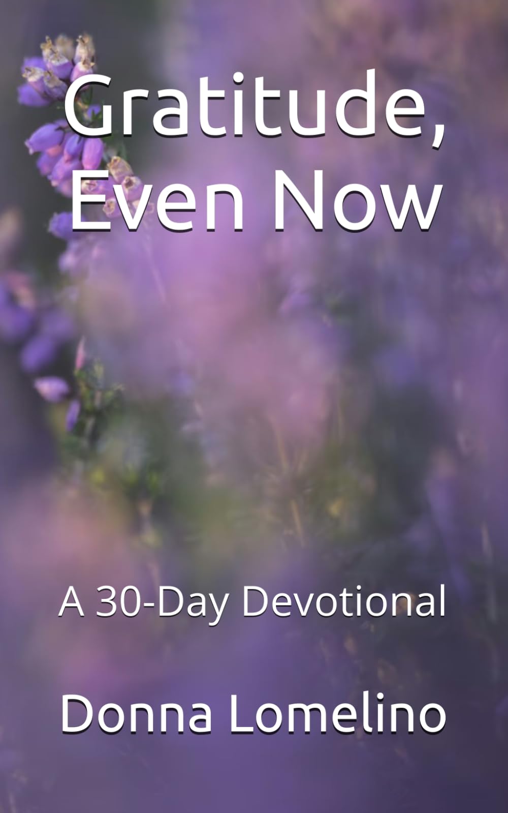 Gratitude, Even Now: A 30 -Day Devotional (The Quiet Practice Series)