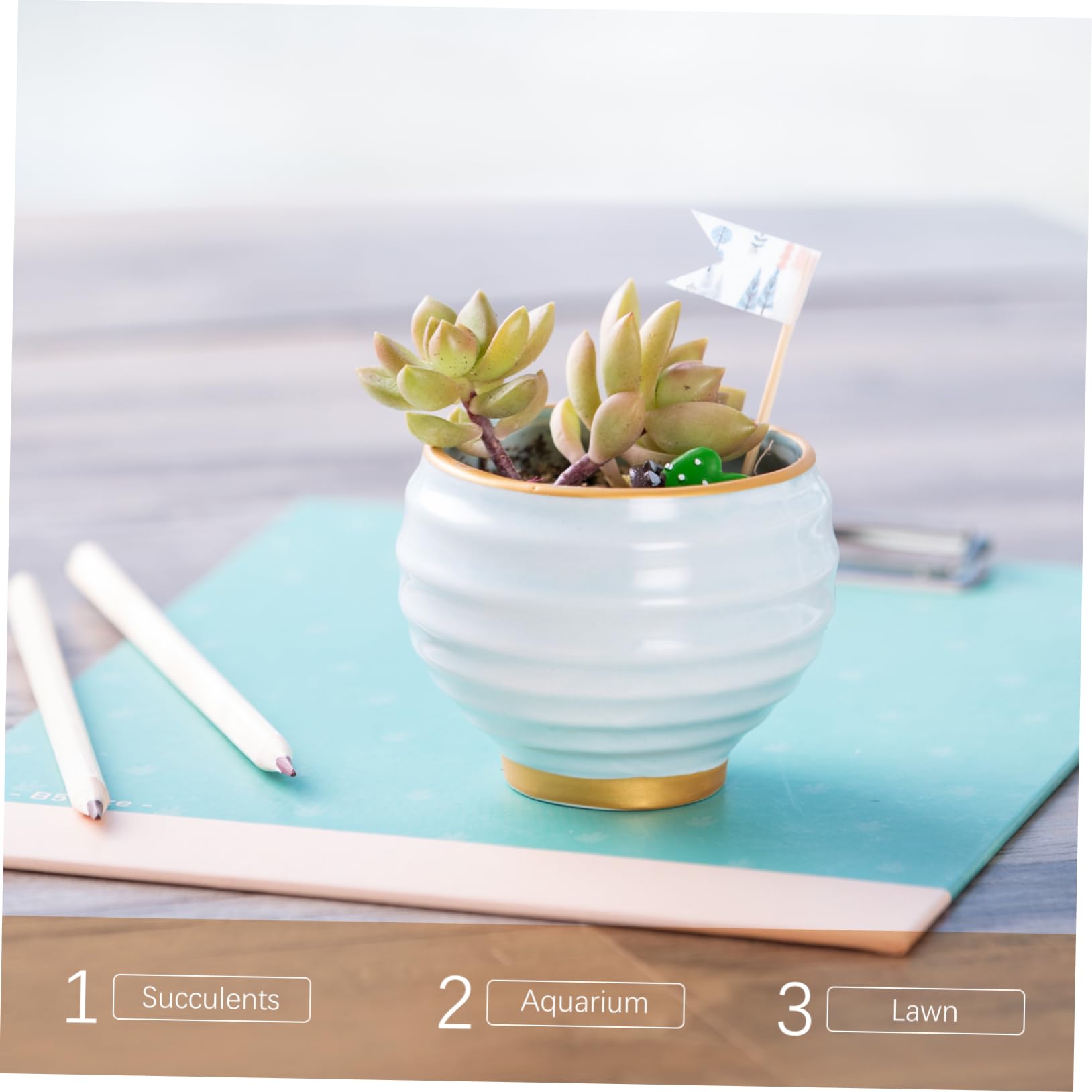 Toyvian Maifanit Stein für Aquarien, Natürliche Steine, 5 Beutel | 300 G Je Beutel, Geeignet für Süß und Salzwasser, für Pflanzen und Bonsai