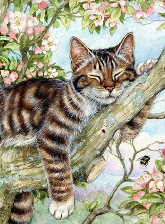 Mapoor Diamond Painting Cat- Full Drill Diamond Art,5d Diamond Painting Kits, Round Rhinestone