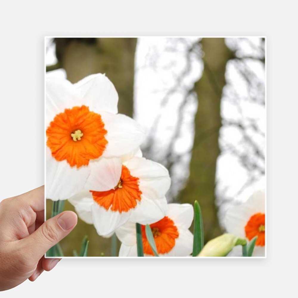 Sticker fleurs blanches 20cm déco voyage pour personnaliser moto et pc