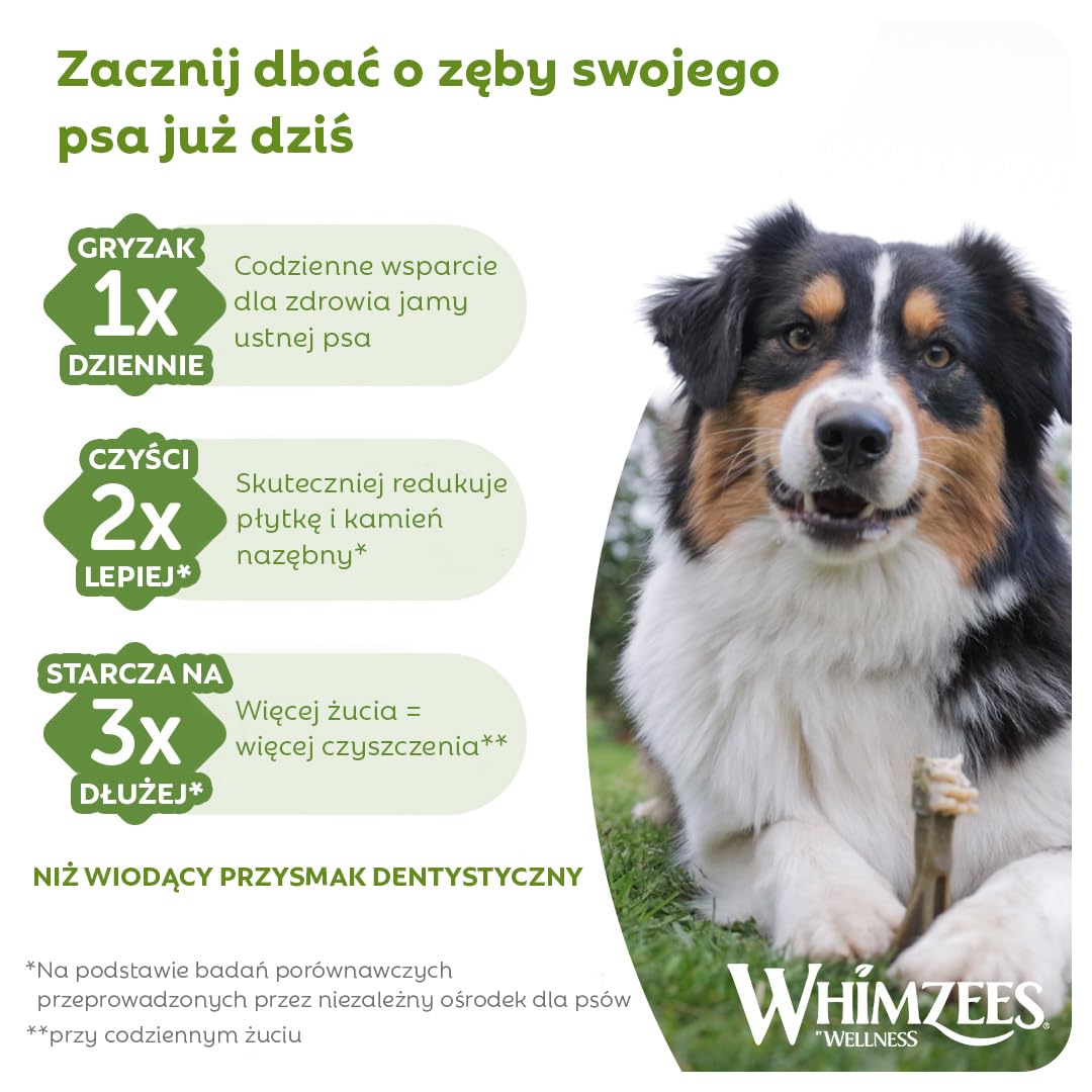 WHIMZEES Szczoteczka M, Opakowanie Miesięczne, 30 Sztuk – Rozmiar M, Gryzaki Dentystyczne dla Średnich Psów, Naturalne, Bezzbożowe, Bez Dodatku Cukru