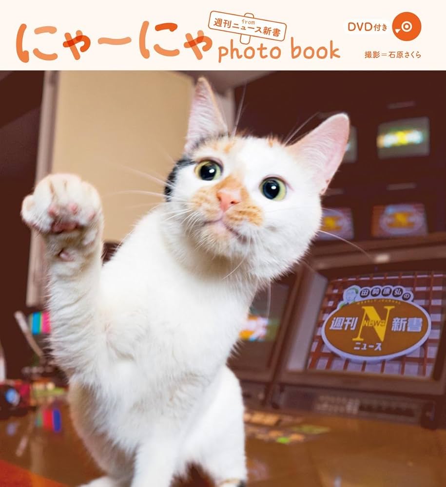 Amazon.co.jp: 『にゃーにゃ photo book from 週刊ニュース新書』 (綴 Amazon.co.jp: 『にゃーにゃ photo book from 週刊ニュース新書』 (綴