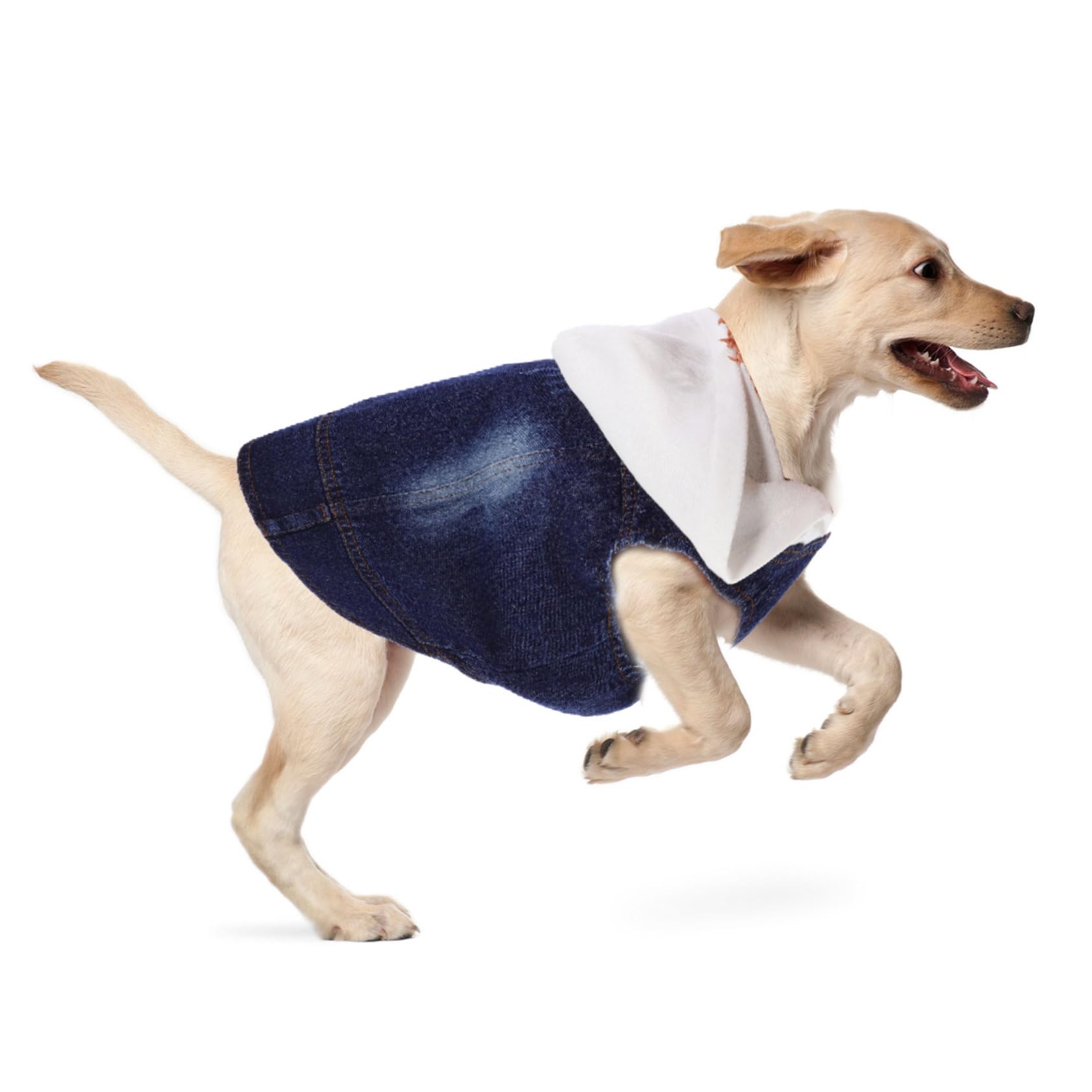 FOMIYES Lot De 3 Gilets en Jean pour Chien Et Chat Vêtements pour Animaux De Compagnie Taille XXL Bonnet Tricoté