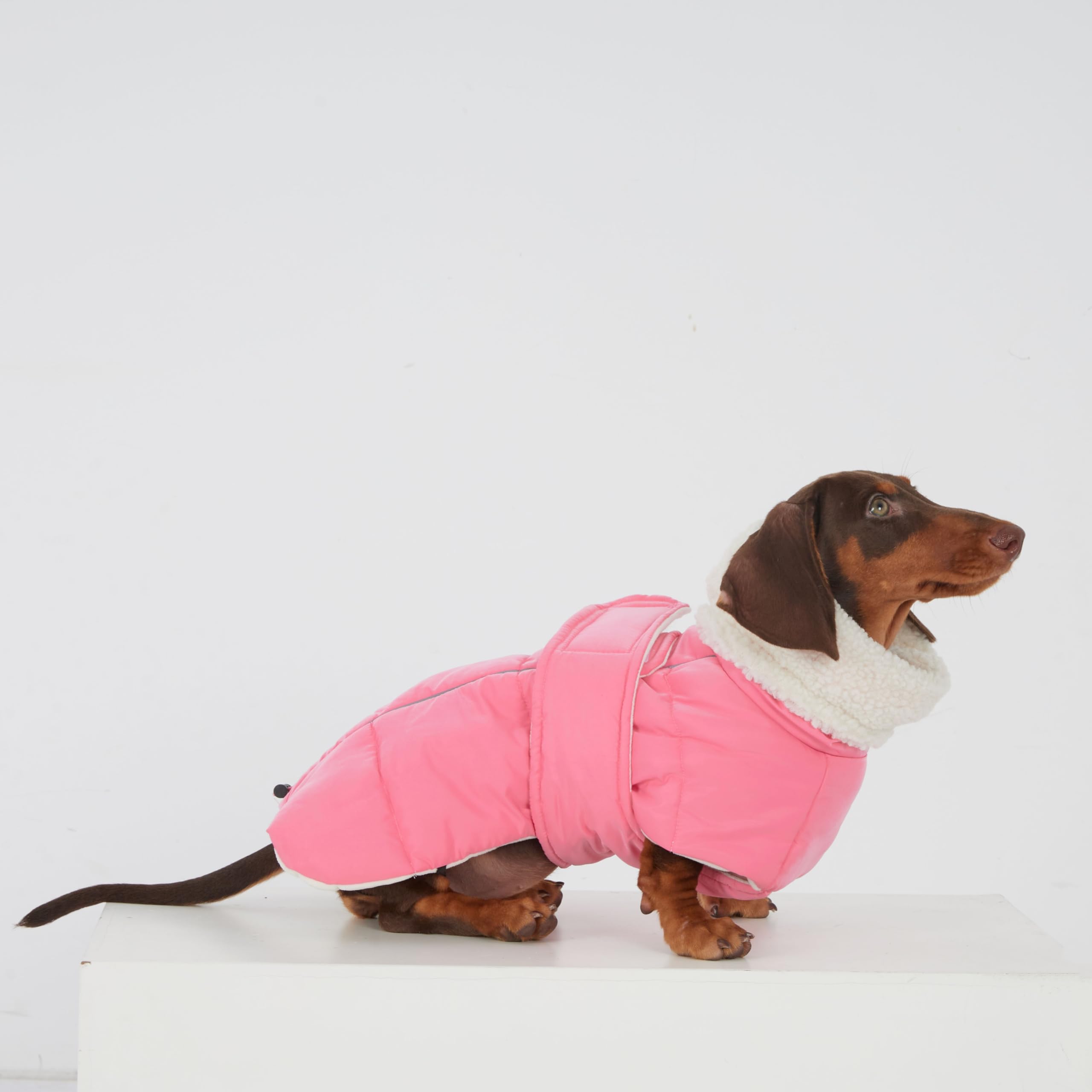 Veste d'hiver pour teckel et carillon éolien - Manteau imperméable avec doublure en polaire - Combinaison de neige rembourrée pour petits chiens (rose, M (6 à 9 kg)