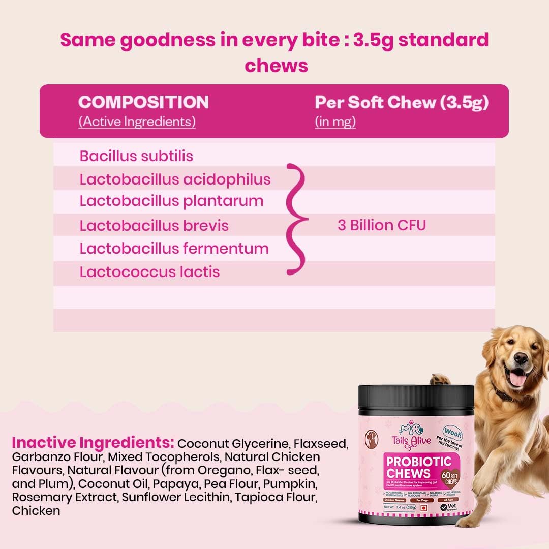 Probiotic Soft Chews Supplement for Dogs | Six Probiotic Strains for Gut Health & Digestion | Chicken Flavor | Supports Immune Function | 60 Soft Chews — Amazon image 2