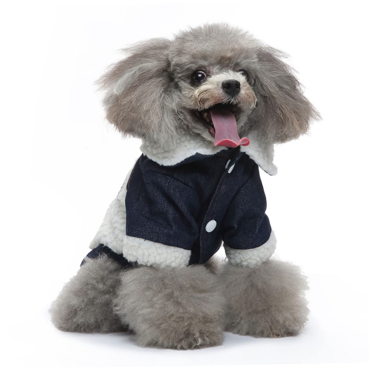 SUPVOX Lot De 5 Manteaux pour Chiens Vêtements pour Animaux De Compagnie Matériau Confortable Respirant Artisanat