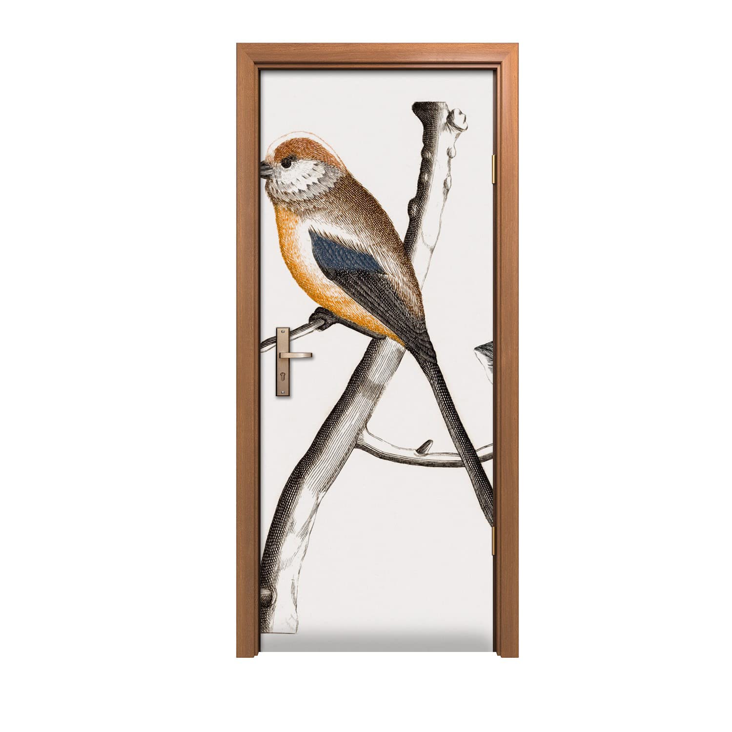 Autocollant de porte 90x200cm pour renover une porte abimee avec un motif oiseaux