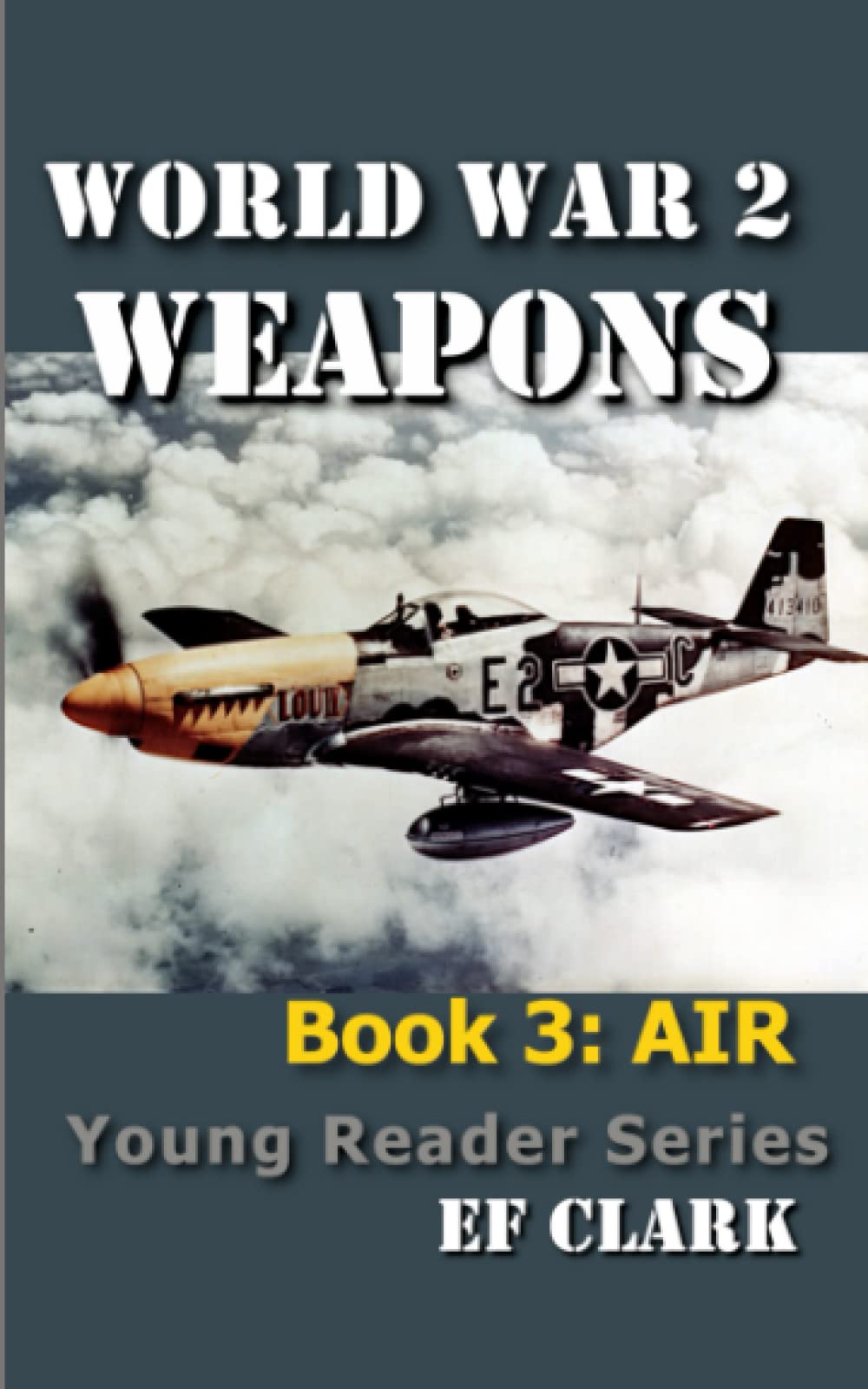 World War 2 Weapons Book 3: AIR (World War 2 Weapons Young Reader Series)