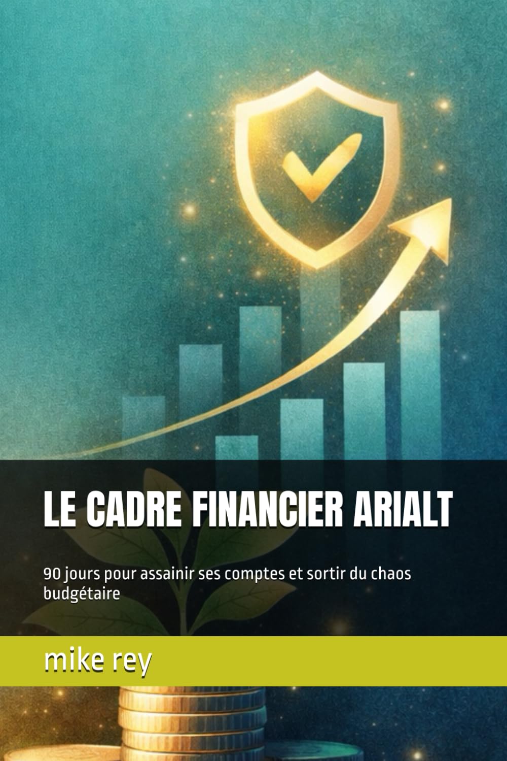 LE CADRE FINANCIER ARIALT: 90 jours pour assainir ses comptes et sortir du chaos budgétaire