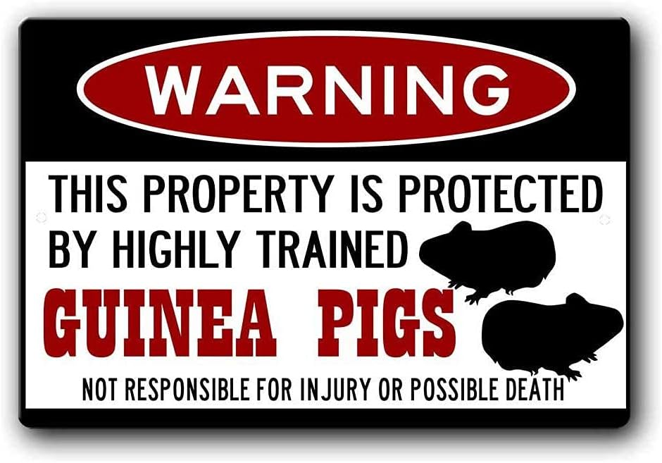 KexleGuinea Pig Sign,Funny Metal Signs,Guinea Pigs,Guinea Pig cage,GuineaPig, Tin Sign 8 X 12 Inches