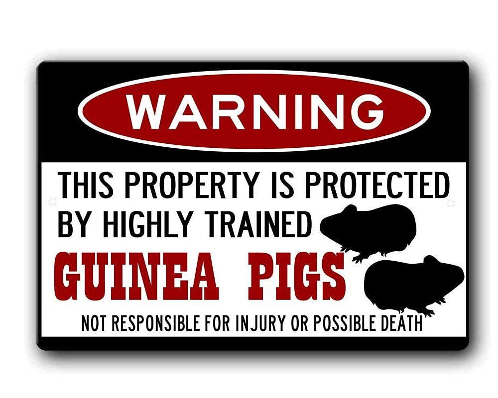 KexleGuinea Pig Sign,Funny Metal Signs,Guinea Pigs,Guinea Pig cage,GuineaPig, Tin Sign 8 X 12 Inches