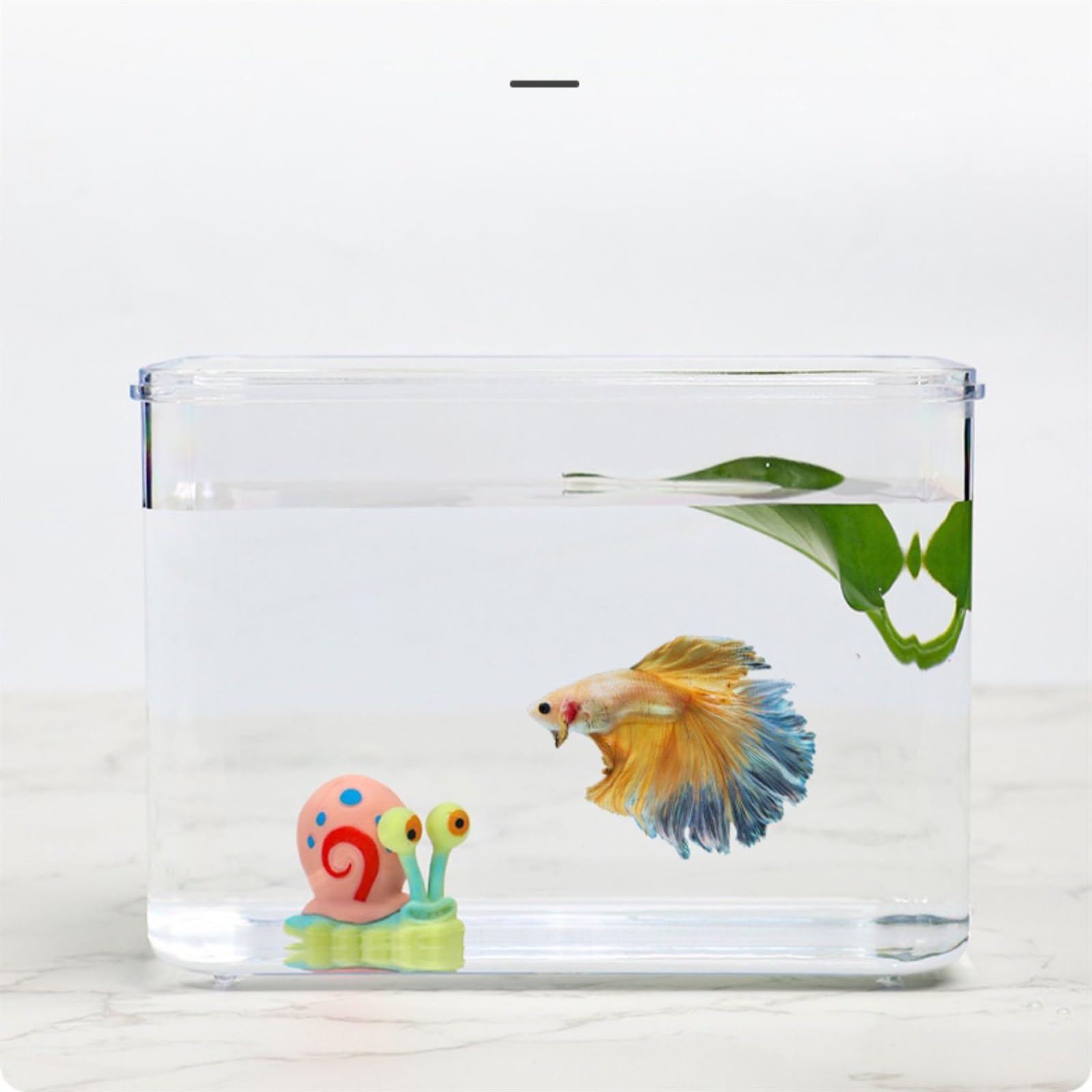 Acquario Acquario for pesci Desktop da ufficio Piccolo acquario Scatola acrilica Combinazione di piccoli acquari montati singolarmente Trasparente trasparente Acquario per pesci rossi (Color : D)