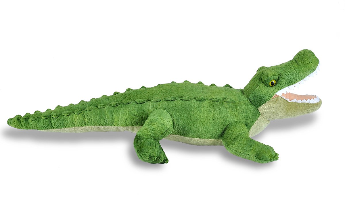 https://m.media-amazon.com/images/I/6138GzMyKOL.jpg
