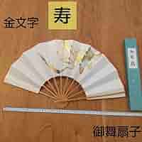 6138H9pouWL._AC_SY200_QL15_.jpg