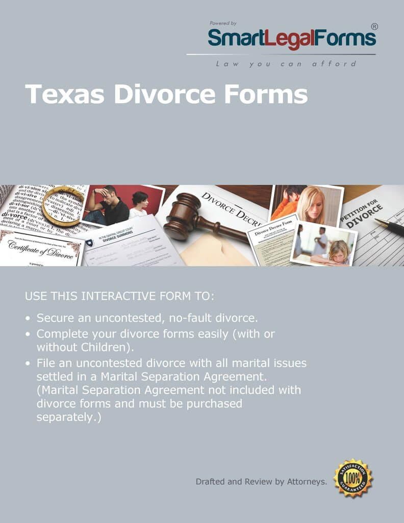 Amazon.com: Texas Divorce [Instant Access] : Software