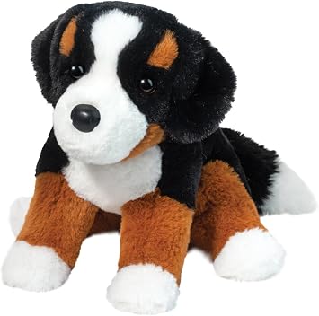 Soft Bernese Mountain Dog Bowie 11