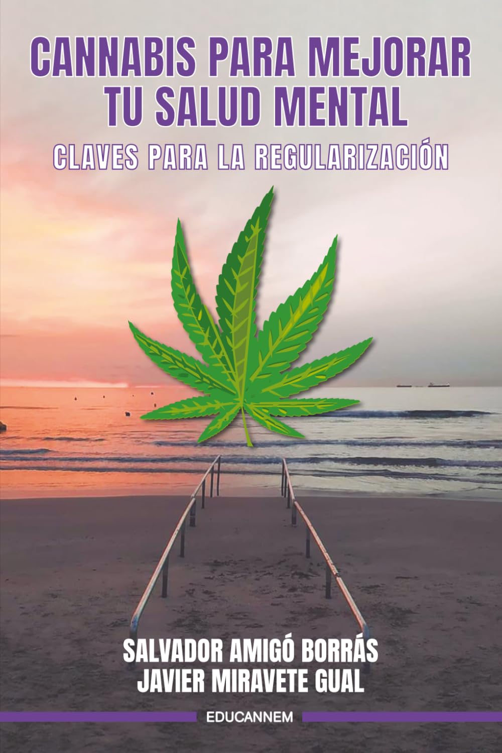 Cannabis para mejorar tu salud mental.: Claves para la regulación.