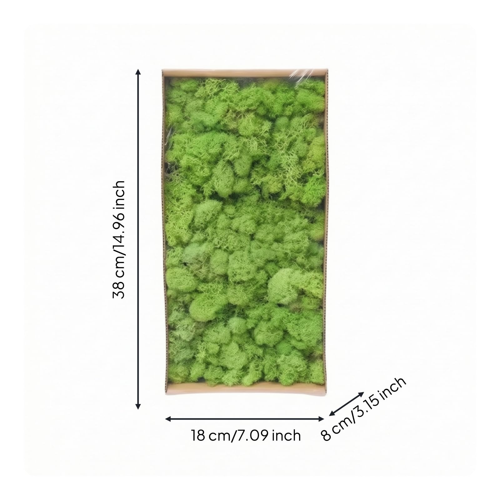 Artificial Decorativo Preservado , Verde Claro De Musgo De Cuerno De Ciervo 3